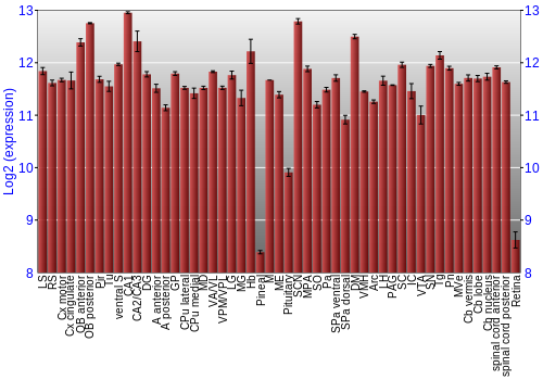 Expression graph