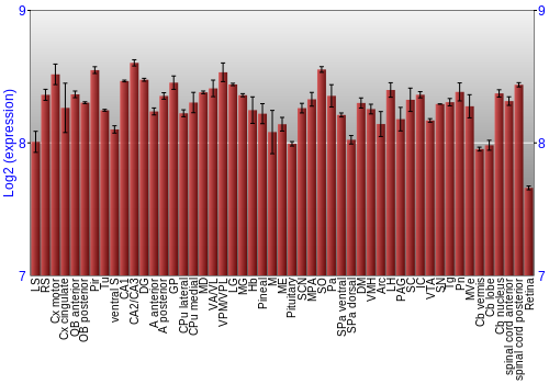 Expression graph
