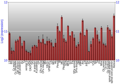 Expression graph