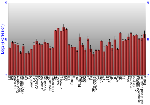 Expression graph
