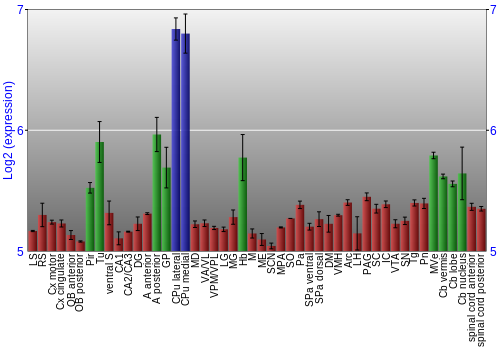 Multi-state expression graph