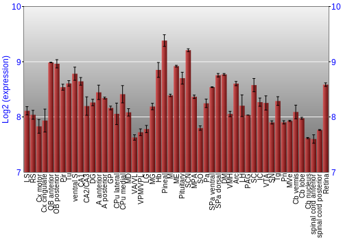 Expression graph
