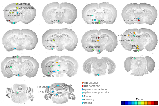 Expression map