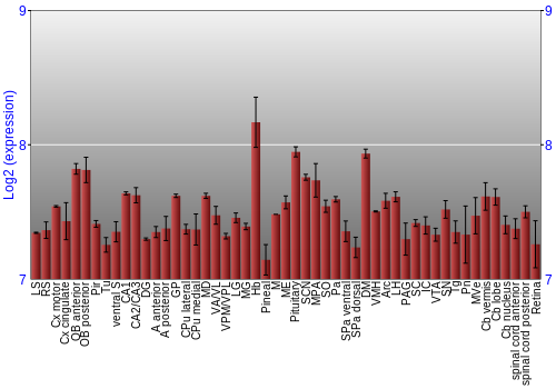 Expression graph