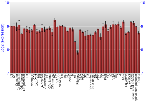 Expression graph
