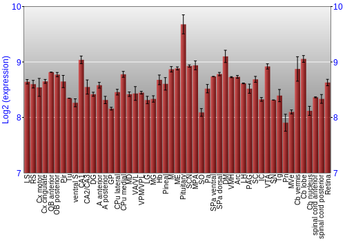 Expression graph