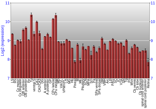Expression graph