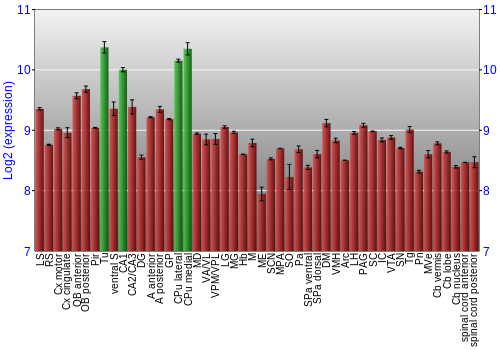 Multi-state expression graph