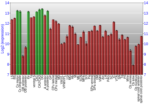 Multi-state expression graph