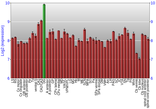 Multi-state expression graph