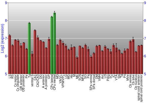 Multi-state expression graph