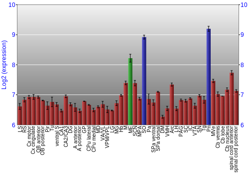 Multi-state expression graph