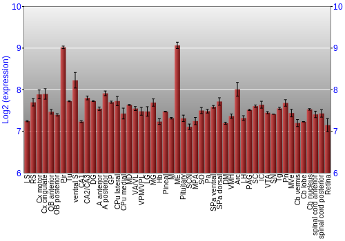 Expression graph