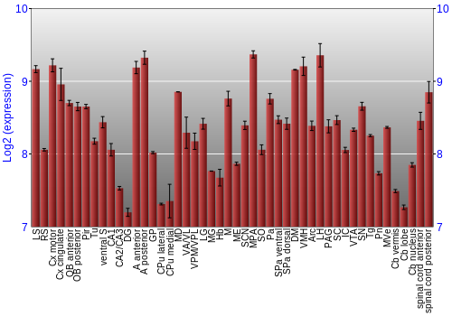 Multi-state expression graph