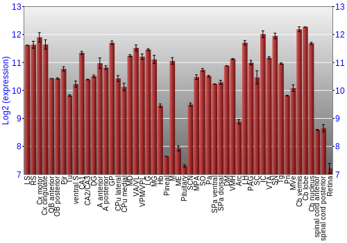 Expression graph