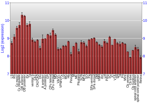 Expression graph