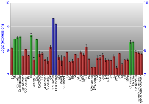 Multi-state expression graph