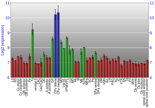 Multi-state expression graph