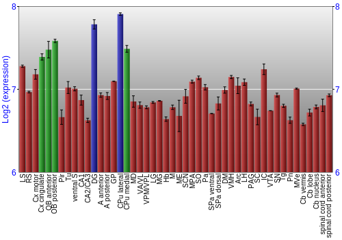 Multi-state expression graph