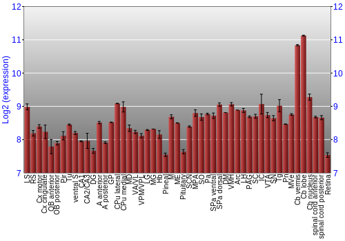 Expression graph