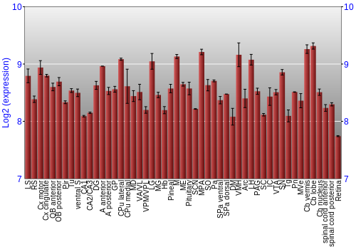 Expression graph