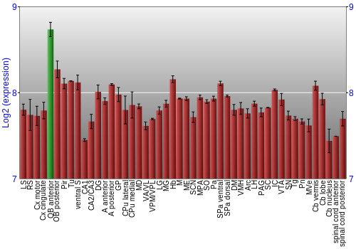 Multi-state expression graph