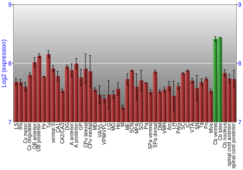 Multi-state expression graph