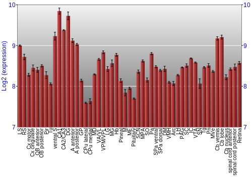 Expression graph
