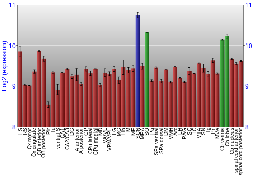 Multi-state expression graph