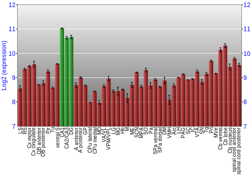 Multi-state expression graph