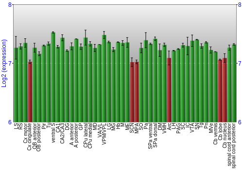 Multi-state expression graph