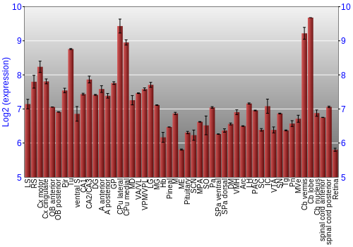 Expression graph