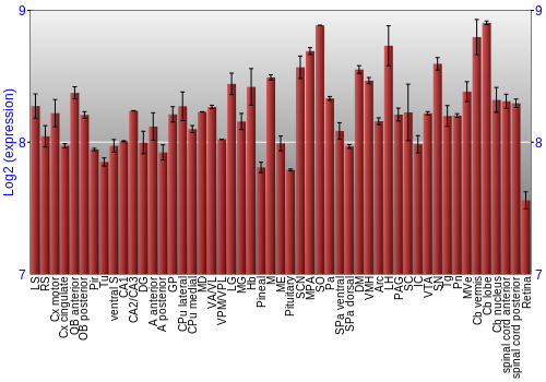 Expression graph