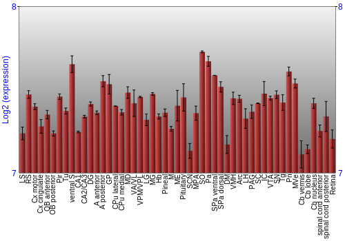 Expression graph