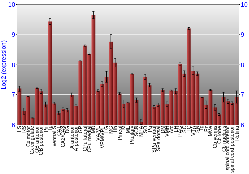 Expression graph