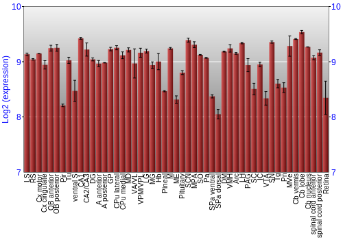 Expression graph