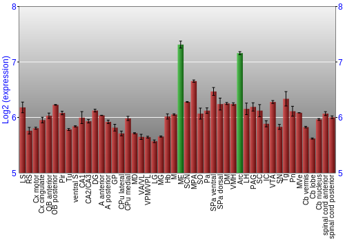 Multi-state expression graph