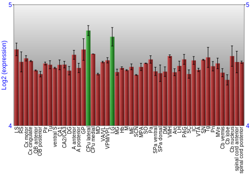 Multi-state expression graph