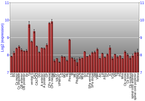 Expression graph