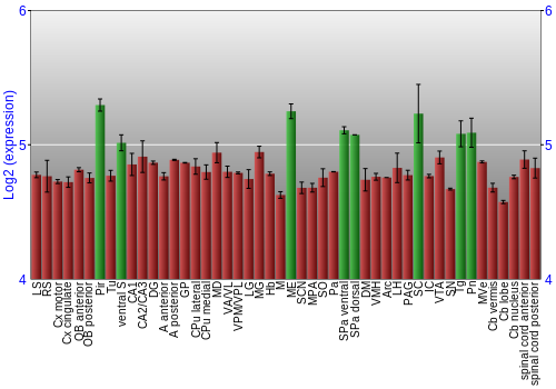 Multi-state expression graph
