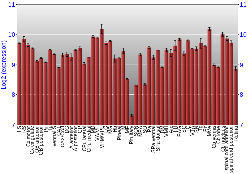 Expression graph