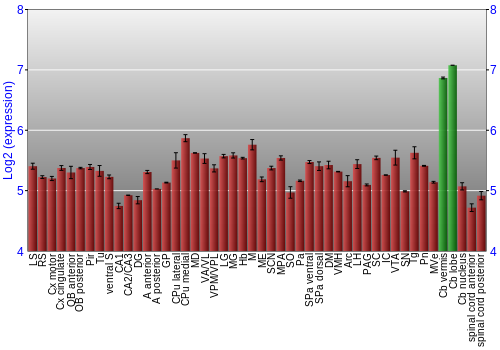 Multi-state expression graph