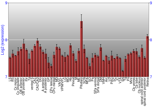 Expression graph