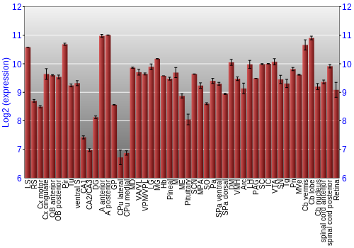 Expression graph
