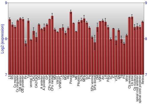 Expression graph