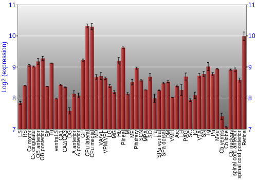 Expression graph