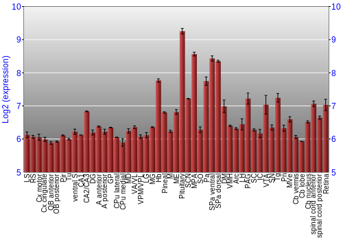 Expression graph