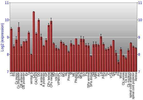 Expression graph