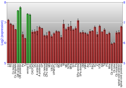 Multi-state expression graph