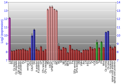 Multi-state expression graph